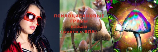 прущие крисы Белоозёрский