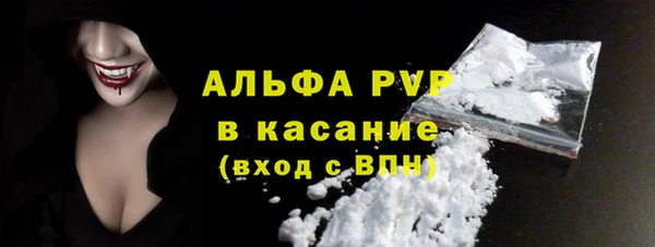 прущий лед Богданович