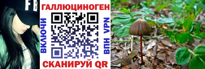 Псилоцибиновые грибы GOLDEN TEACHER  Будённовск 